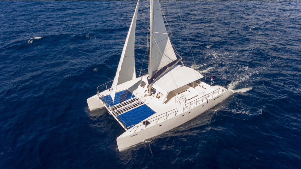 Catamaran AMAZONA - 65